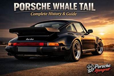 A Complete Timeline of the Whale Tail: from Britney Spears to 2020S Candid Virality