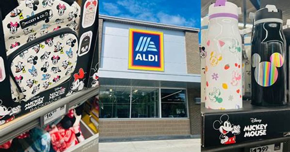 Aldi Sells out 8 Disney Water Bottles That Rival 40
