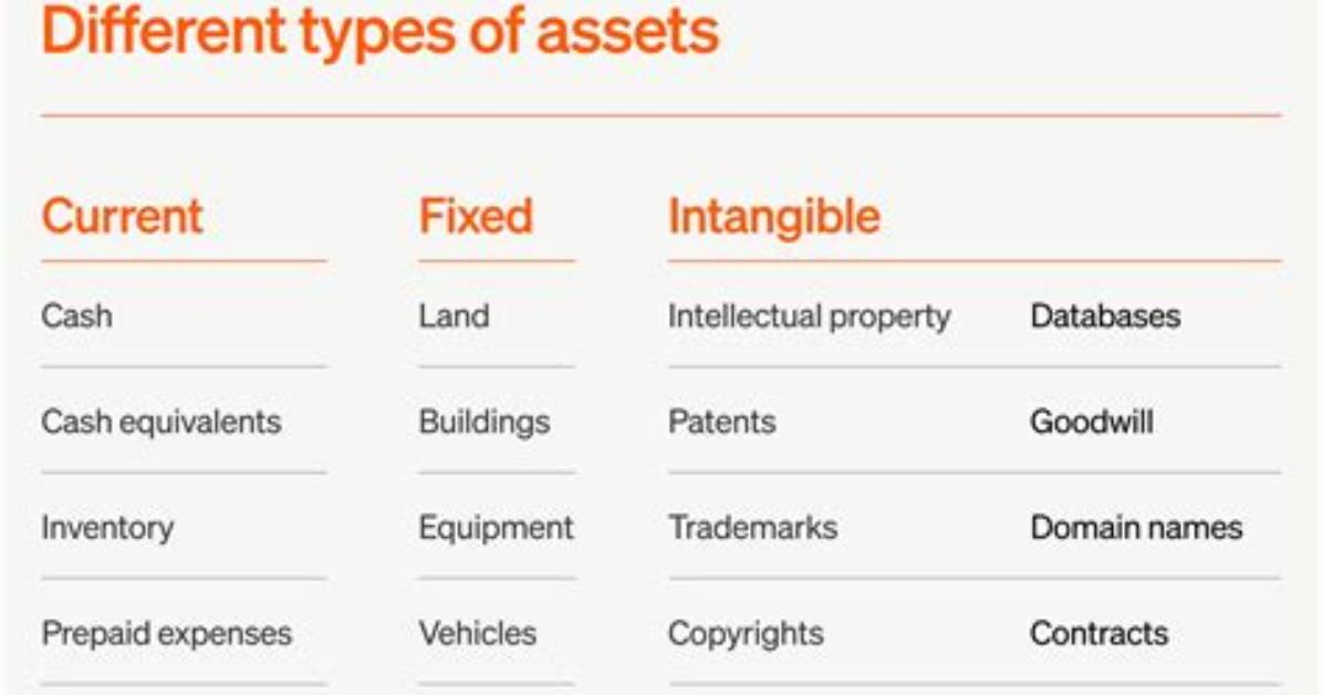 Are You Just an Asset The