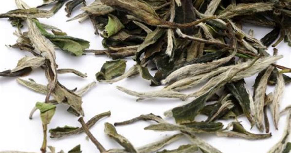 Bai Mu You Ji