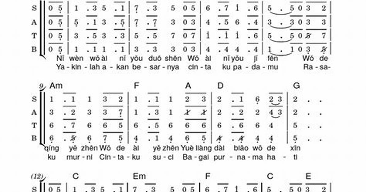 Bareboru Ri Ben Dai Biao Nu Zi
