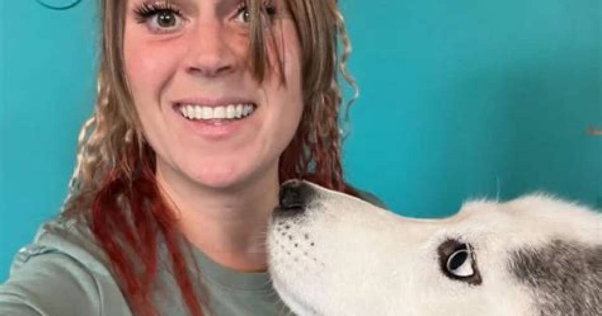 Brittany Crossley Leak Debunked Inside the Rise of Targeted