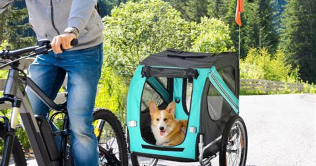 Can Any Bike Pull a Dog Trailer Hitch Compatibility
