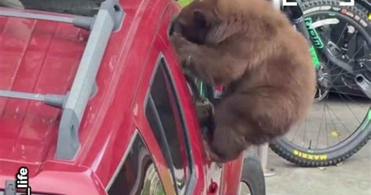 Caught on Camera Inside the Relentless Feeding Habits of Blue And