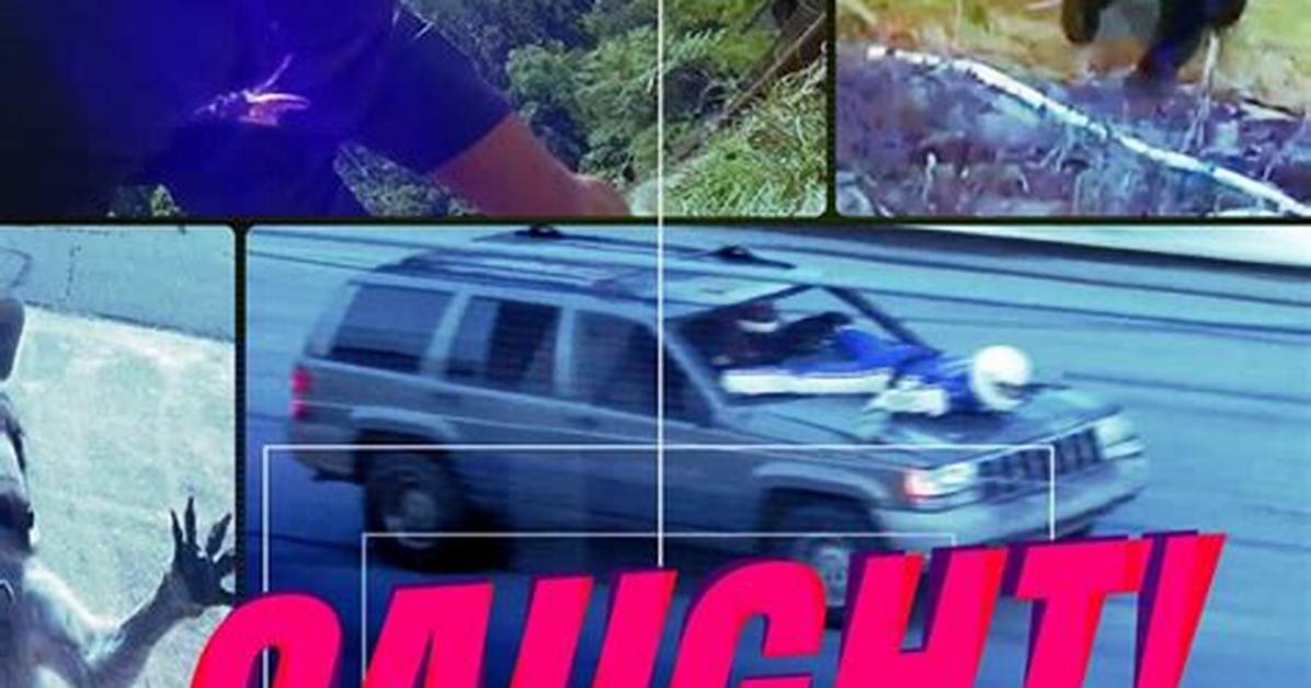 Caught on Stream the Wild Rule Break That Got Suburbbaby Kicked out Of