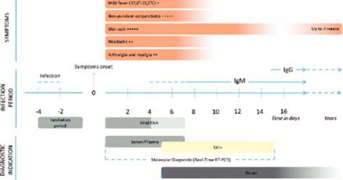 Chronology of a Viral Spree How a Shocking Search Query Surged to the Top Of