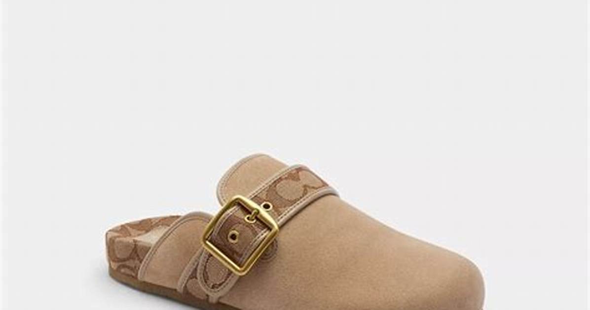 Coach S Modern Footwear Pivot How Clogs Rebuilt the Brand S