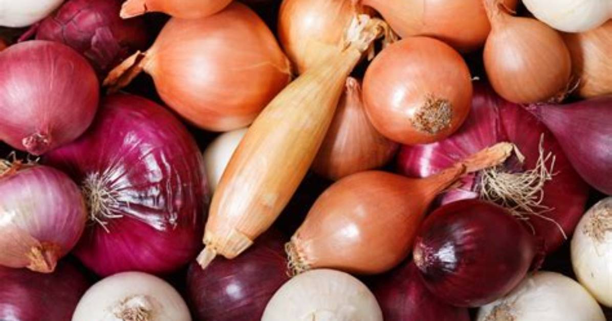 Does Substituting Onions for Shallots Ruin Your Dish The