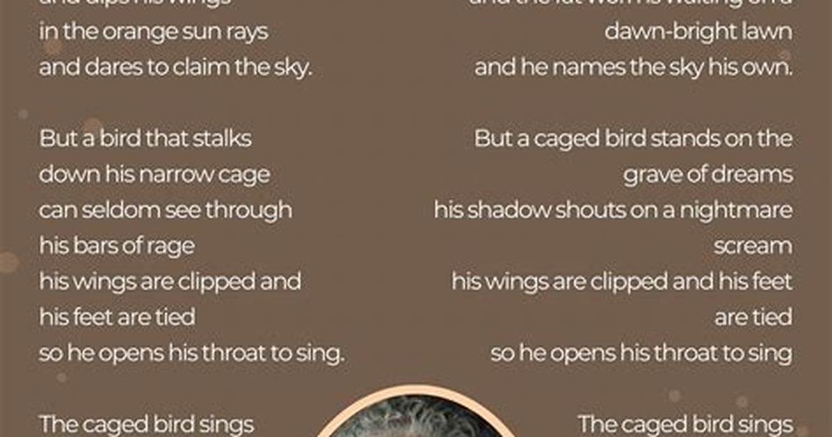 Fact Check Maya Angelou Poem or Modern Song Untangling the Phenomenal Black
