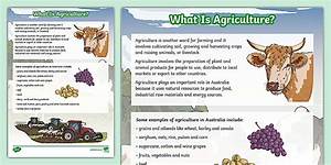 Fact-Checking the Definition of Agriculture: What Counts and What Doesn't?