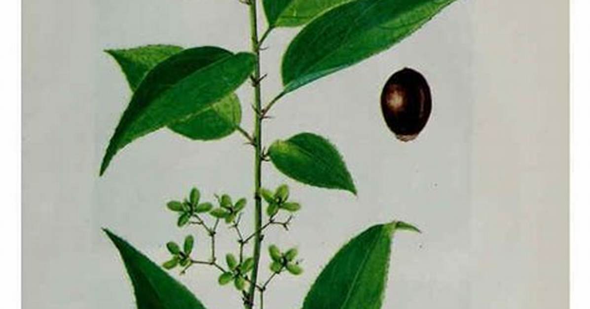 Gong Qi Ke Xue Ji Shu