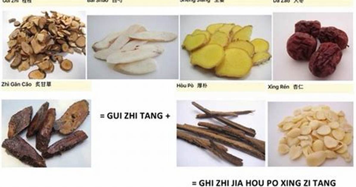 Gui Jia Tang Zi