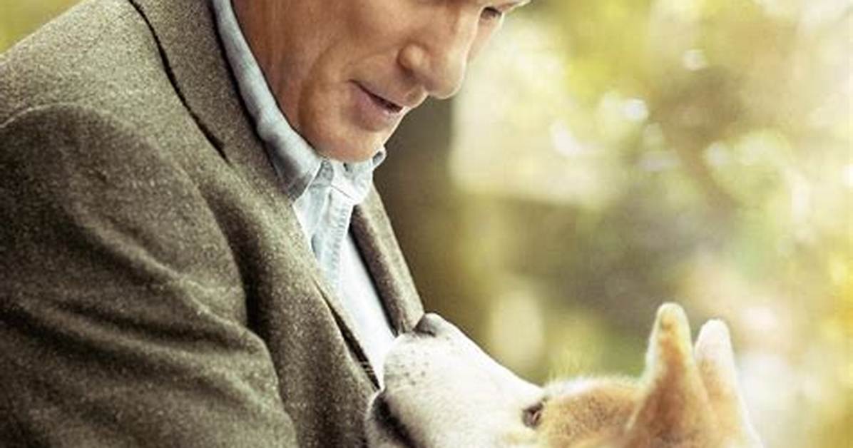 Hachi