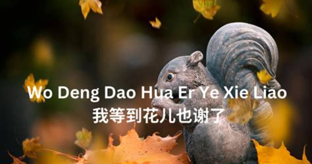 Hai No Hoteru Dao Hua