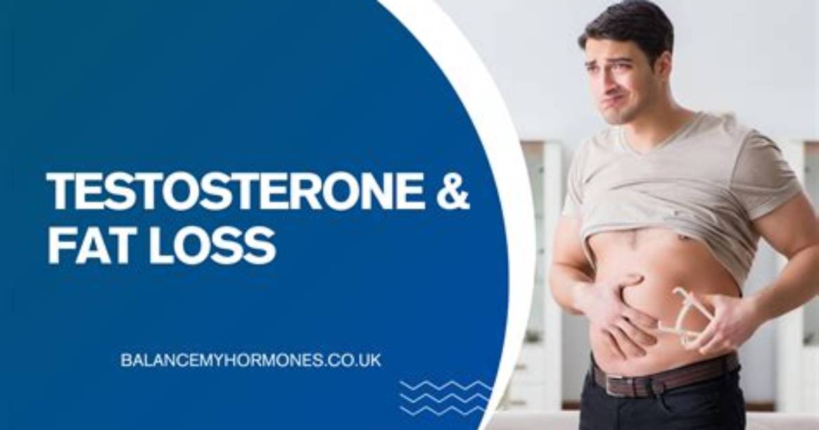 Hormones and Fat Distribution Does Testosterone