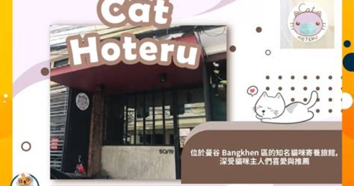 Hoteru Tangno Zhenno Ping Panha Ben Dang Baikinguno Zhiya Bu Wuno Qing Jie Ganwo Che Di Bi