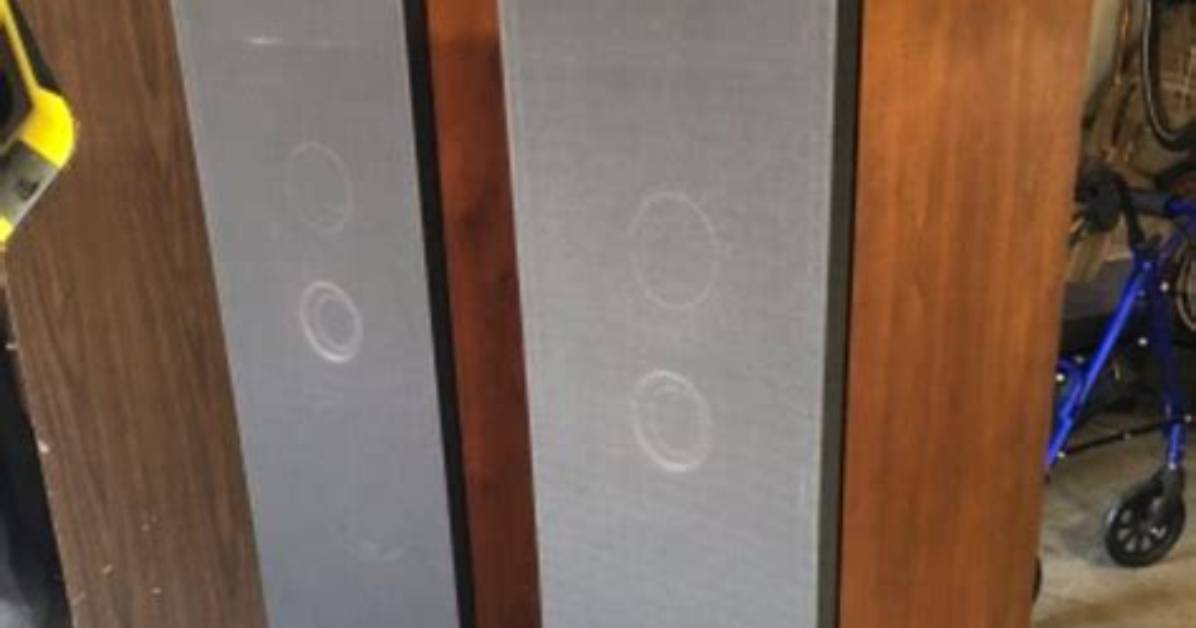 How Landmark Acoustic Research Shattered The