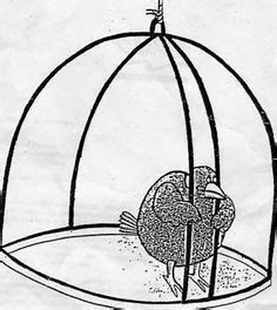 How the Bird in Cage Meme Took Flight: the Complete Timeline of a Viral Trend