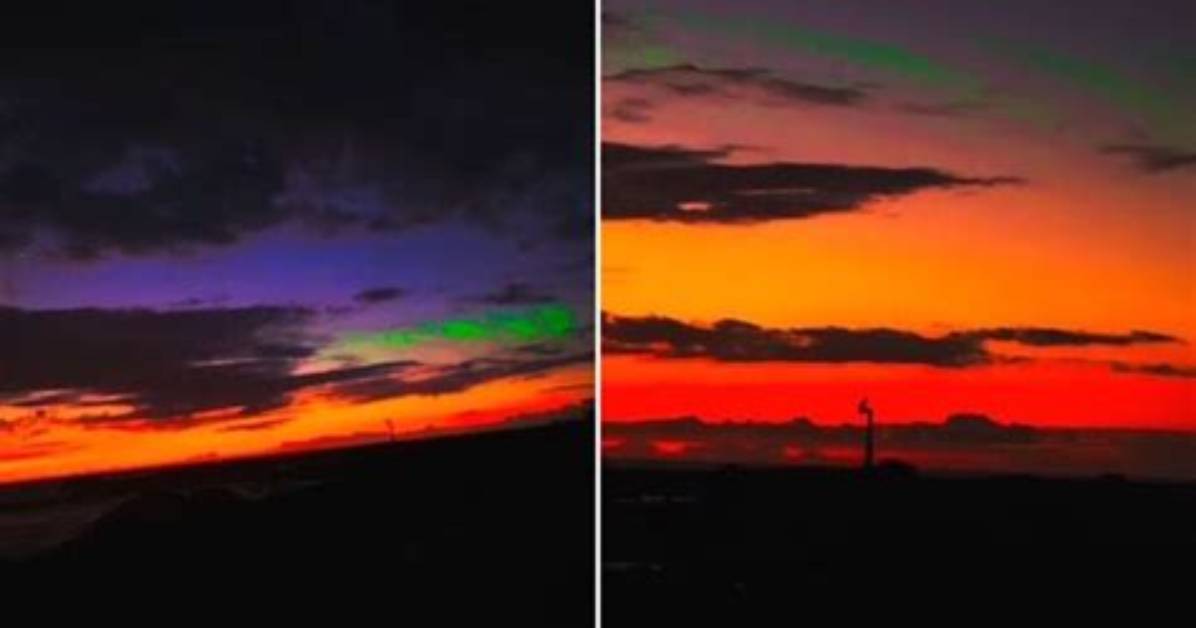 How the Petal Glow Phenomenon Erupted from Music Video Sets to Viral