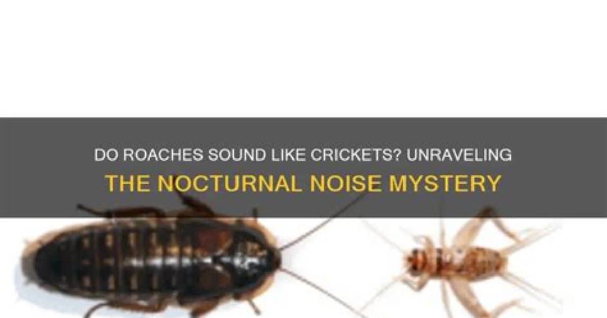 How the Roaches in the Crib Sound Went Viral a Step By