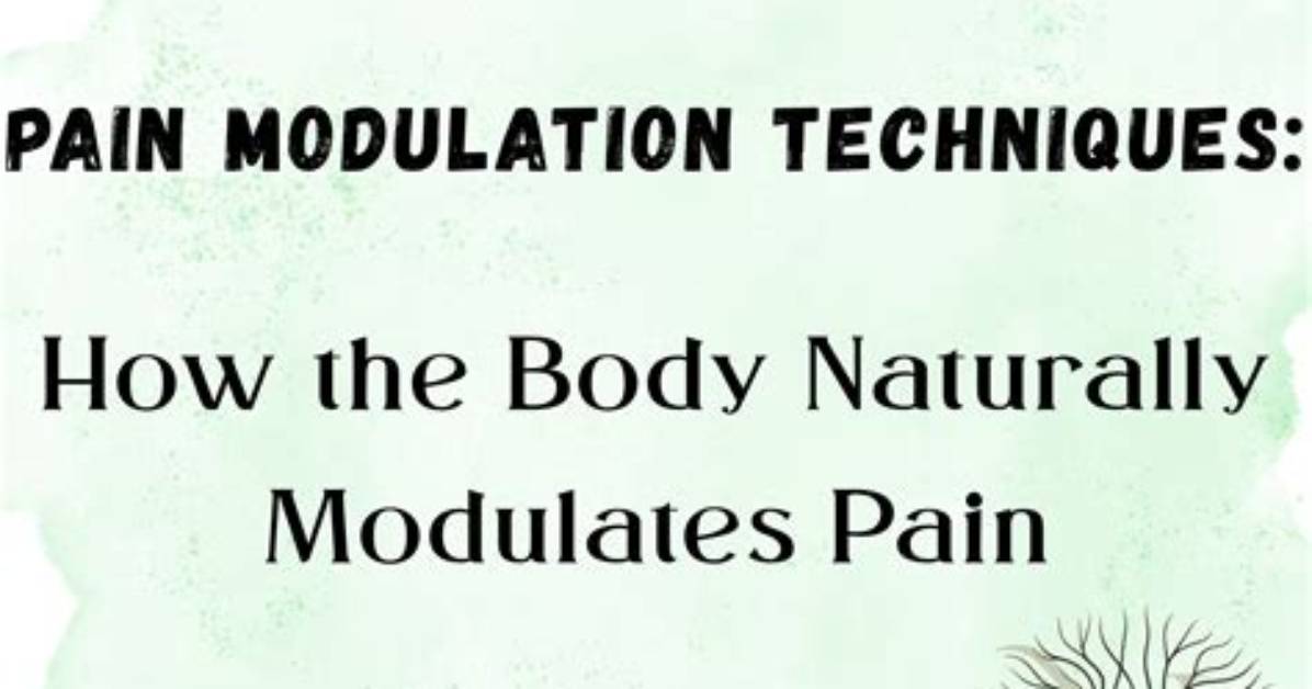 How Your Body Naturally Blocks Pain the Real Science of the Gate