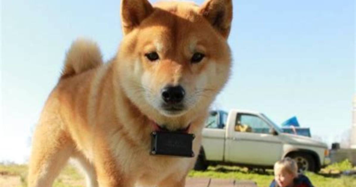 Ikoino Cun He Zhaonomeron Shibe Fang Tito Shi Shi Ping Si1Weino Zhen Xiang Koukomito Ren Qimenyuwo Ben Yin