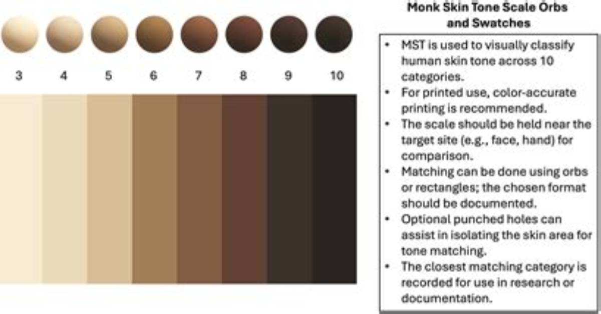 Inside the Monk Skin Tone Chart a Visual Breakdown of All 10