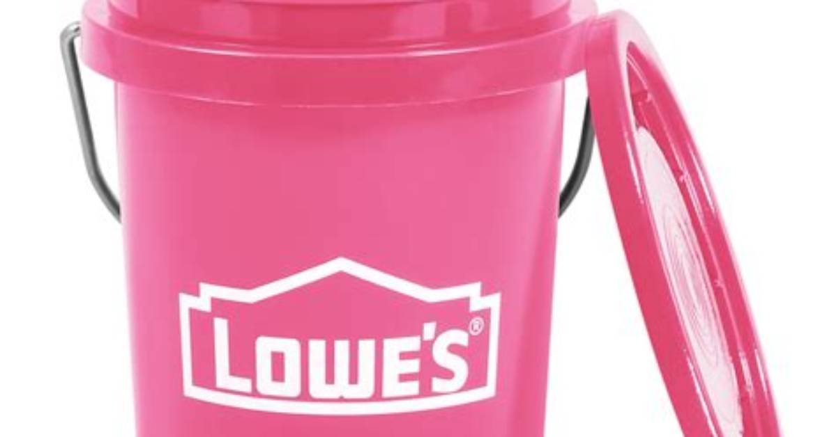 Inside the Viral Lowe S Pink Mini Bucket Hype Real Photos And