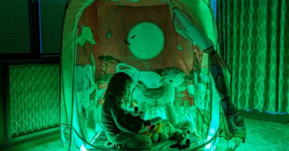 Inside the Wild Multi Sensory Pop up Taking over L a S