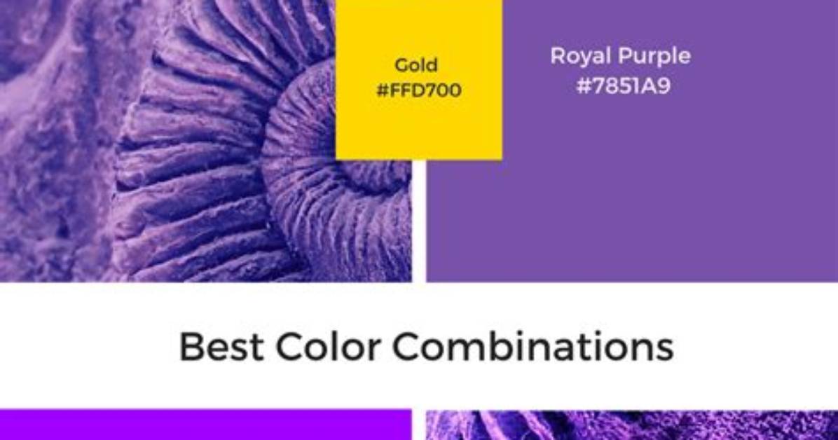 Is Purple a Real Color the Optical Illusion and Scientific Formula Behind The