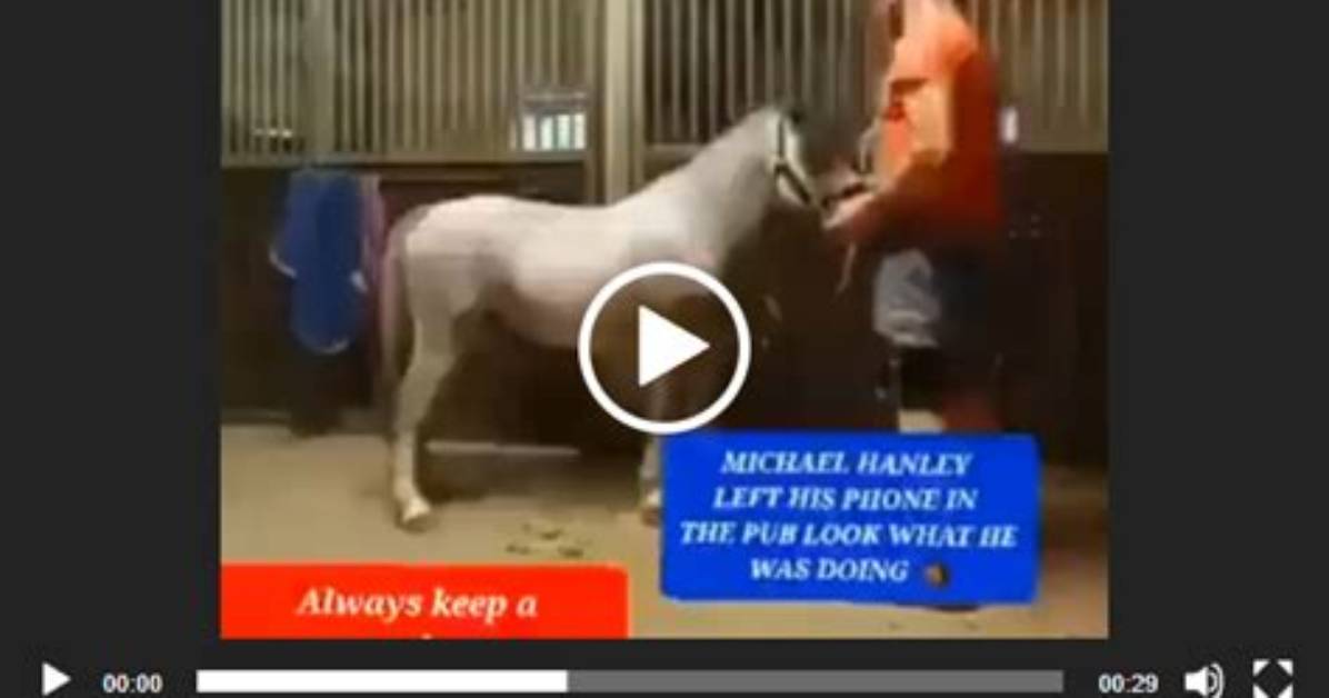 Is the 2 Guys 1 Horse Video Real Unpacking the Evidence Behind