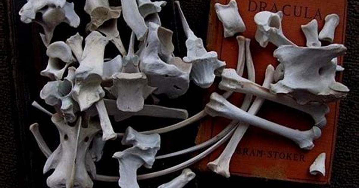 Is the Book of Bones Real Screenshots in Game Clues and Verified