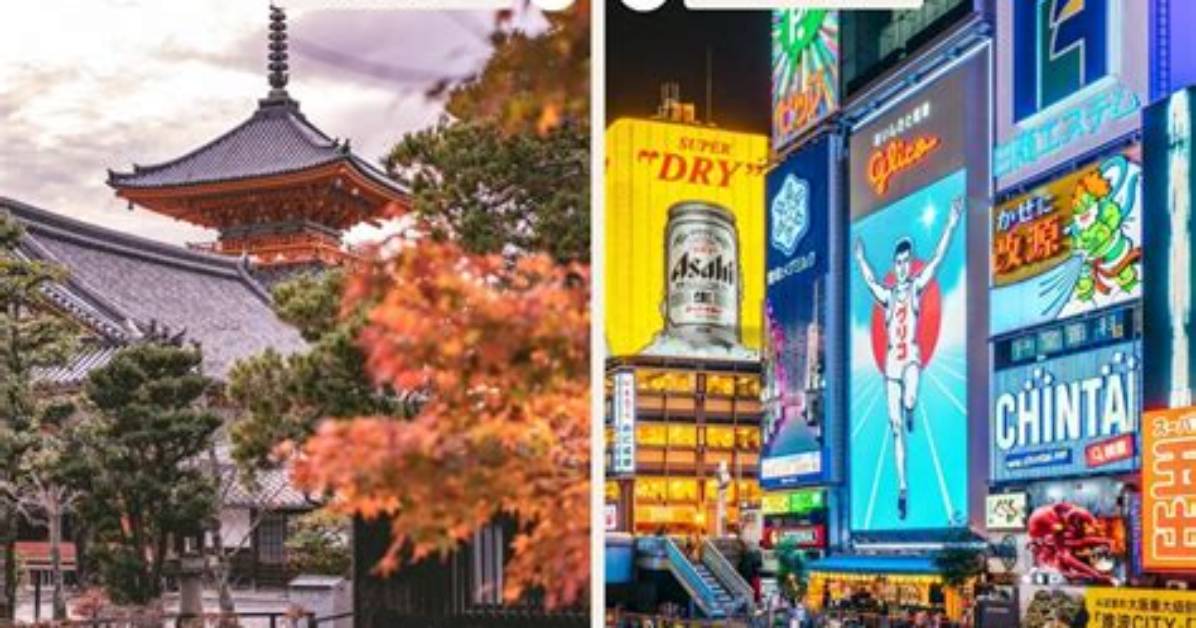 Kyoto vs Osaka University Comparing Real