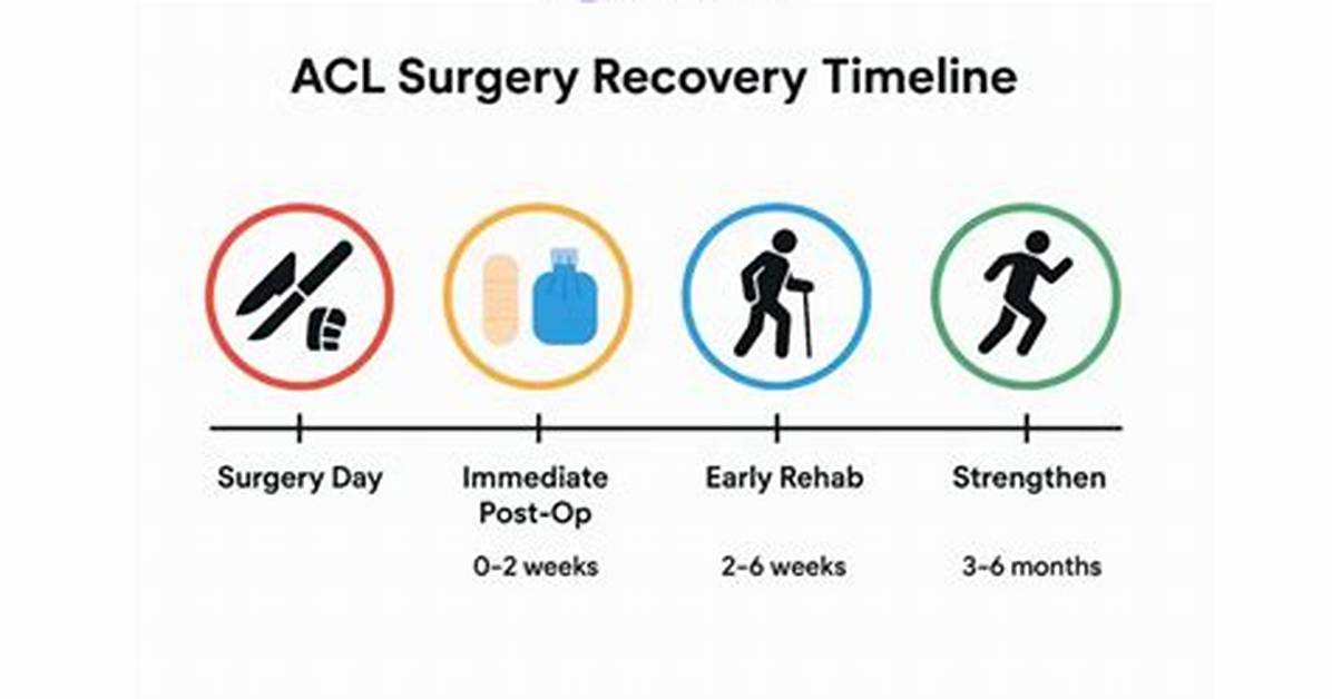 Lacy Acl Injury Explained Recovery Timeline Surgery And