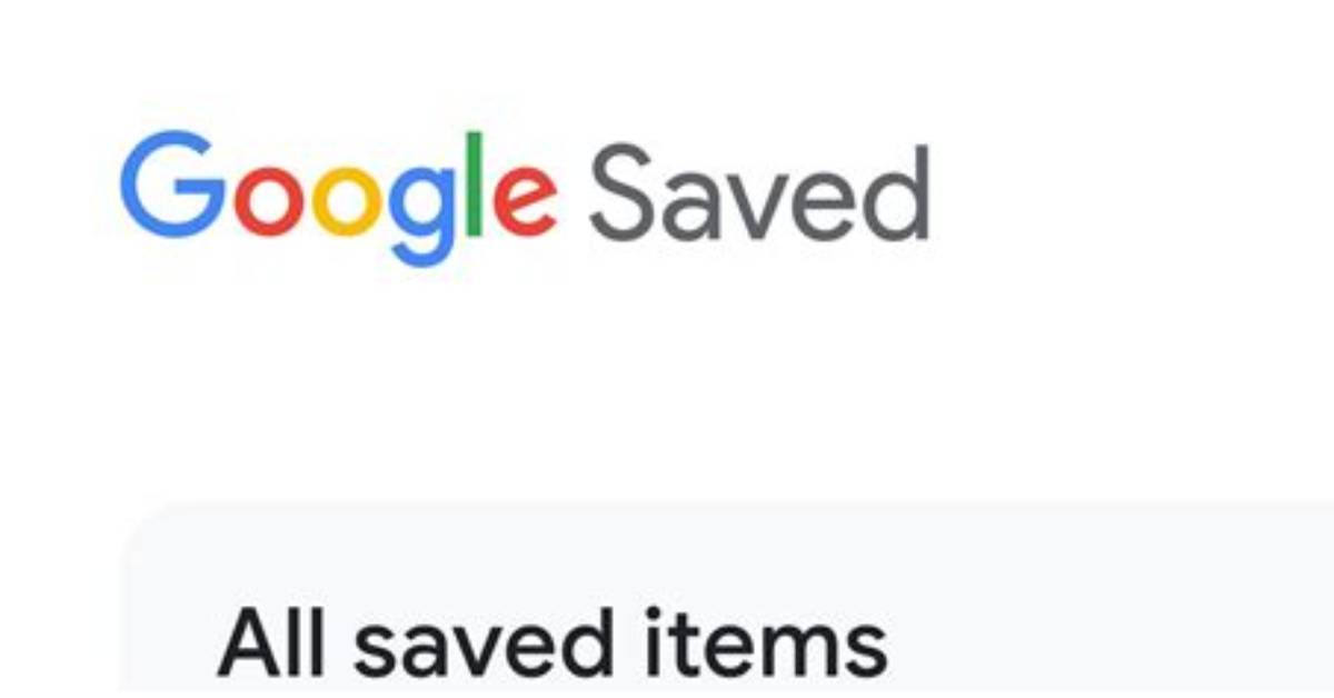 Look at What Google Saved a Deep Dive Inside Your My