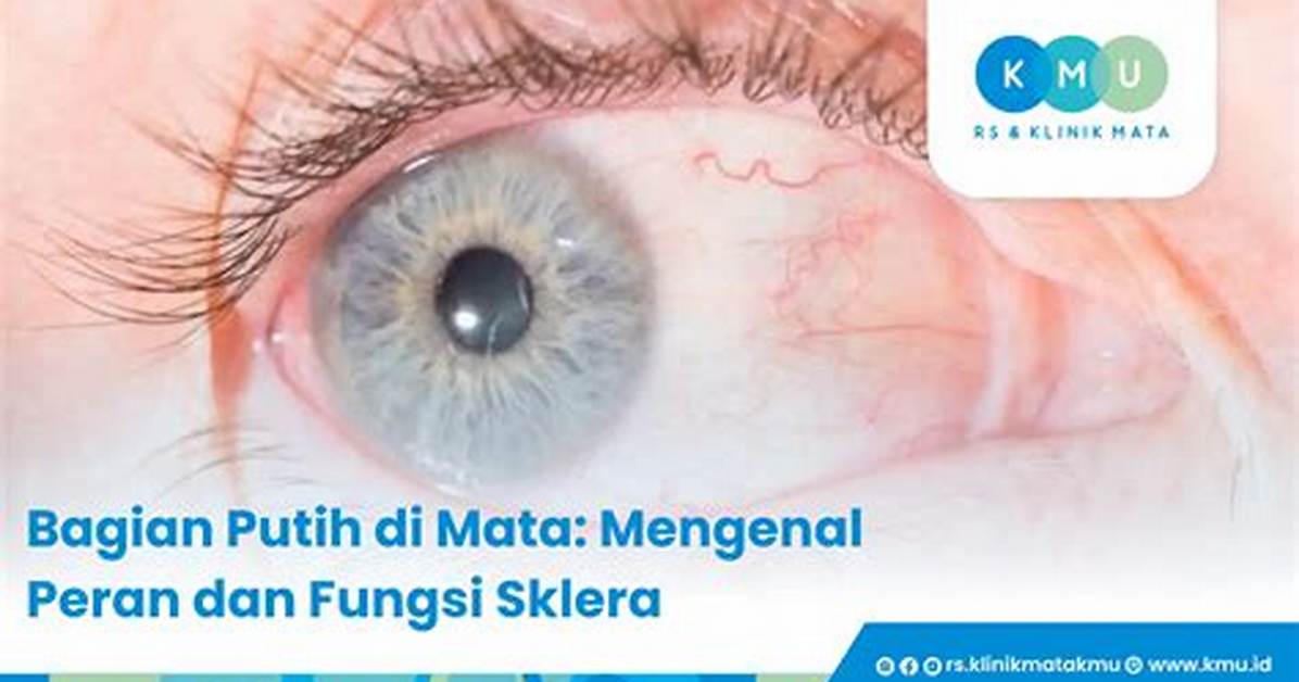 Mata Tongji Mengwo Jianteita No Du Shu Gan Xiang Wen Gong Lue Zui You Xiu Shangni Xuebutema She Dingto Gou Chengwo Che Di Jie