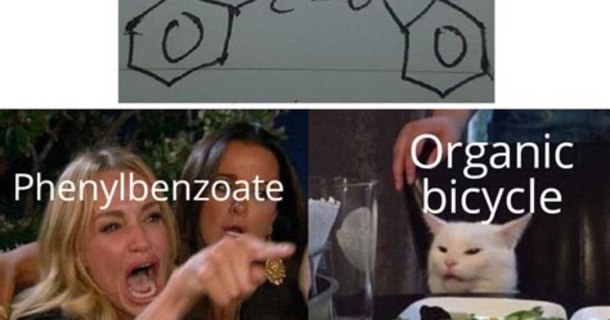 Meme or Organic Surge the Truth Behind Why Certain Entertainment Keywords