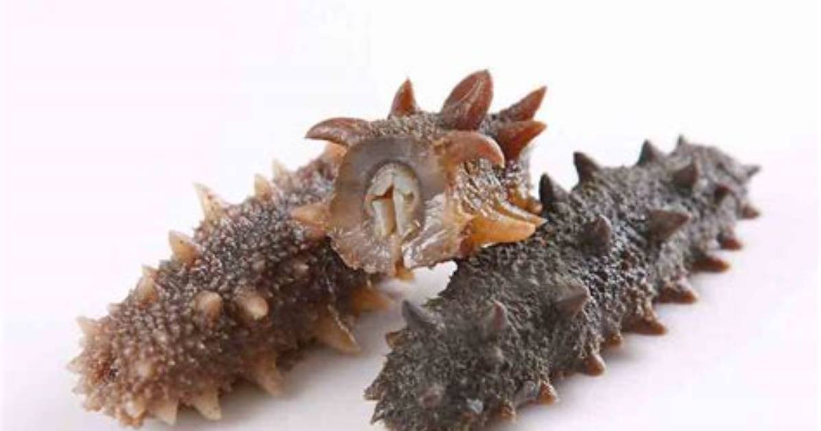 Mian Wu Hai Shen Xin Su