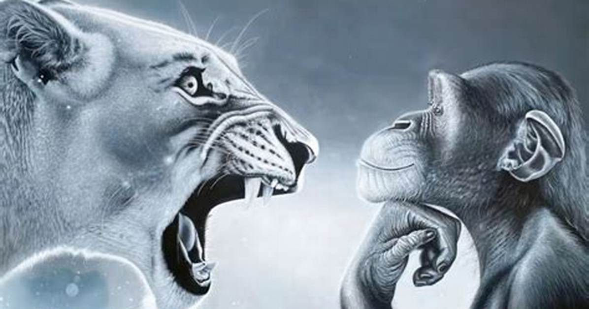 Monkey vs Lion Visual Breakdown Real Encounters vs Stunning