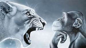 Monkey vs Lion Visual Breakdown: Real Encounters vs Stunning Primate Species