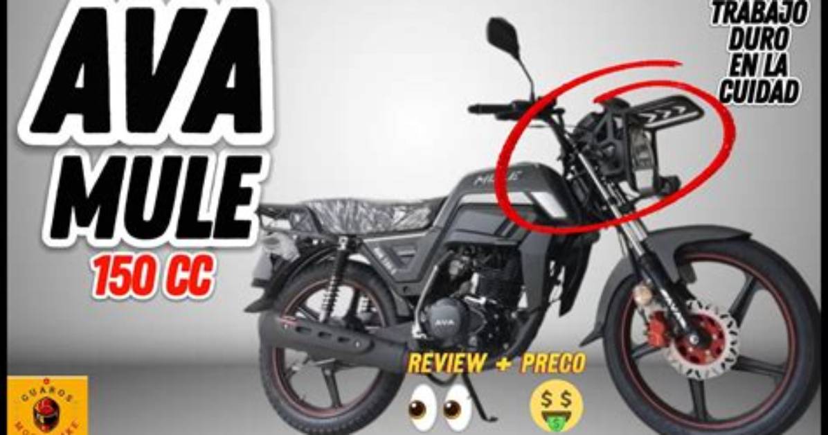 Moto Mula Gyu