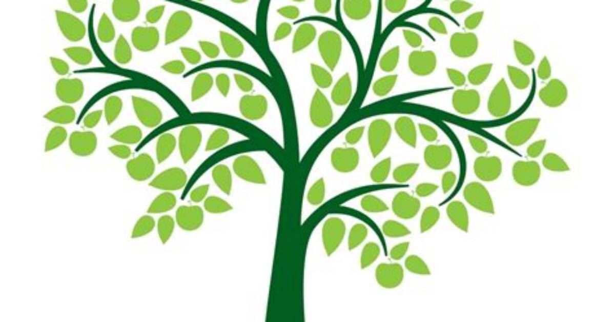 On the Record Official Declarations Family Roots and Verified