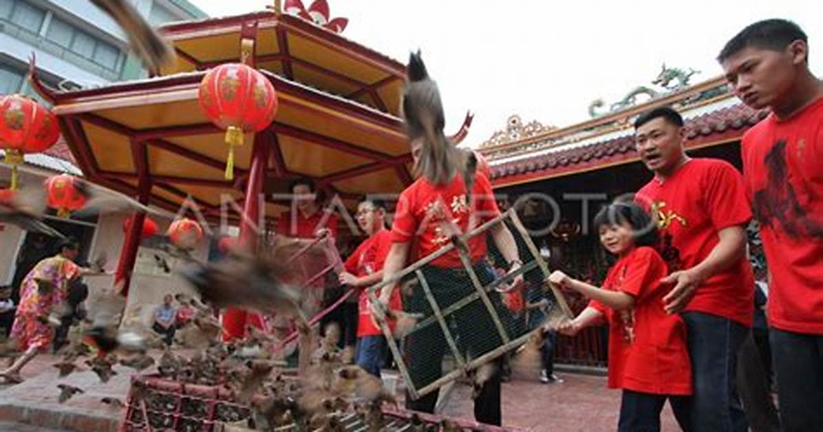 Osharena Dan Sheng Rimessejino Shuki Fang Da Quan Guan Xi Xing Bieno Li Wen Jito Li Jiwo Che Di Jie