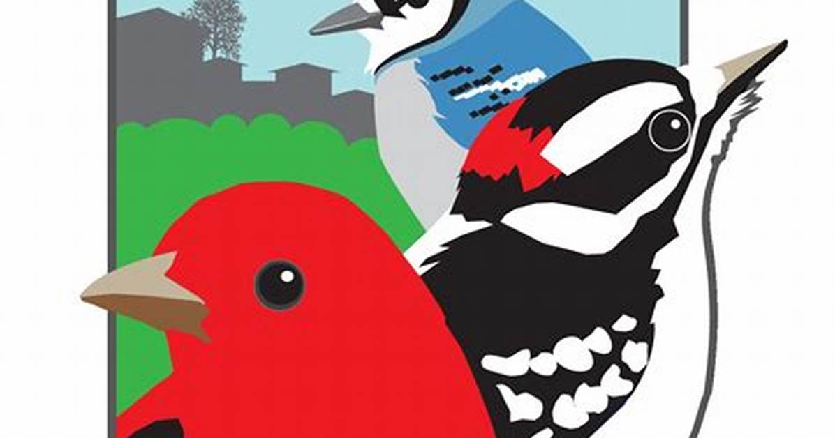 Pennsylvania Wildlife Update How Bird Town Initiatives and Forestry Projects Target