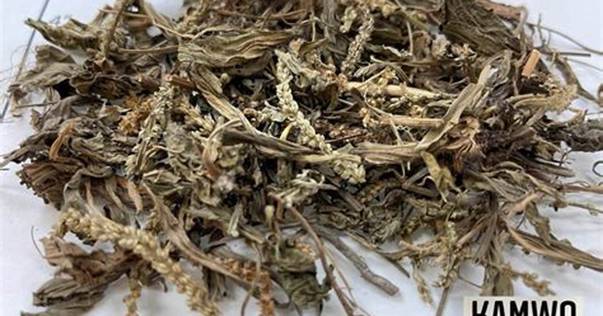 Qian Cao Qiao Ben Diannofuroa Wan Quangaido Jiegotono Qu Xipatsuto Bi Jiankonawo Che Di Bi