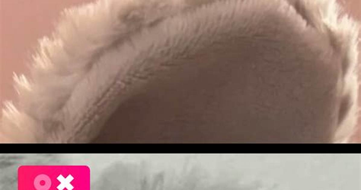 Real vs Fake Snoopy Ear Headbands Visual Comparison And