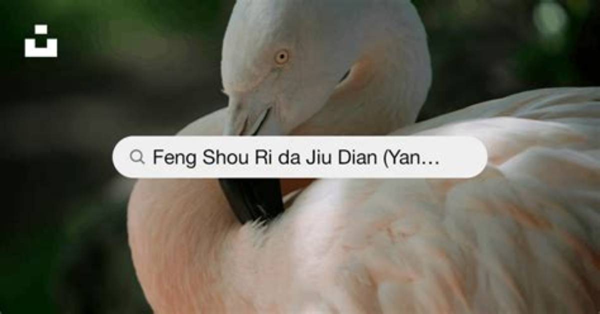 Ri Bennoapplestore Gou Rugaido Dian Pu Shouke Qurino Shou Shunto Bi Yao Shu Leiwo Che Di Bi