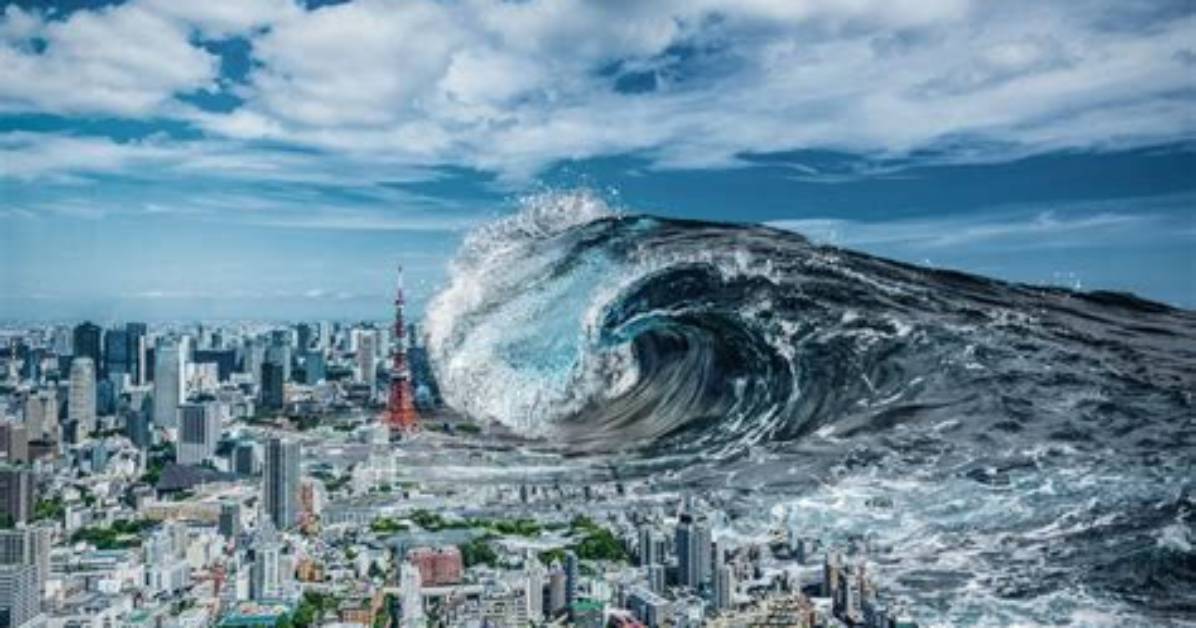 Sazan Orusuta Zu Tsunami Ge Ci