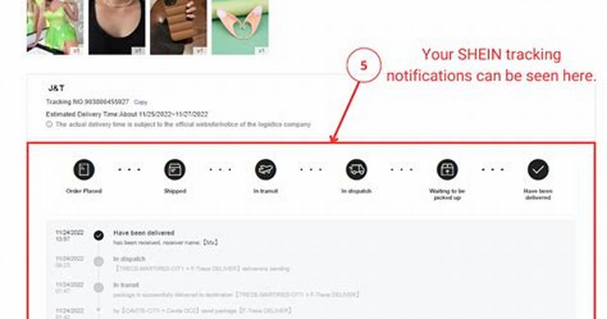 Shein Customs Released Guide Transit Times Tracking Updates And