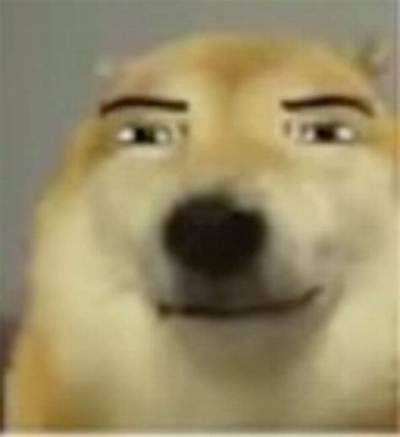Smirking Dog Meme Guide: Original Source, Best Uses, and Downloadable Templates